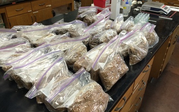 Boxes and plastic bags containing soil samples from the Luquillo forest.